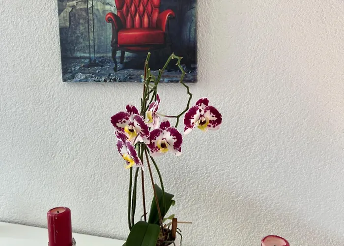 Peter إنترلاكن